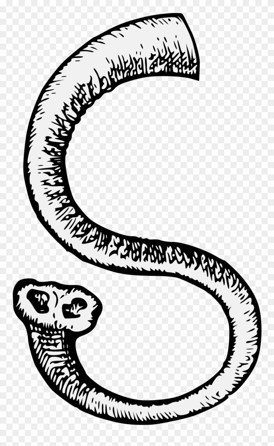 Elephant's Trunk - Elephant Trunk Line Arts Clipart