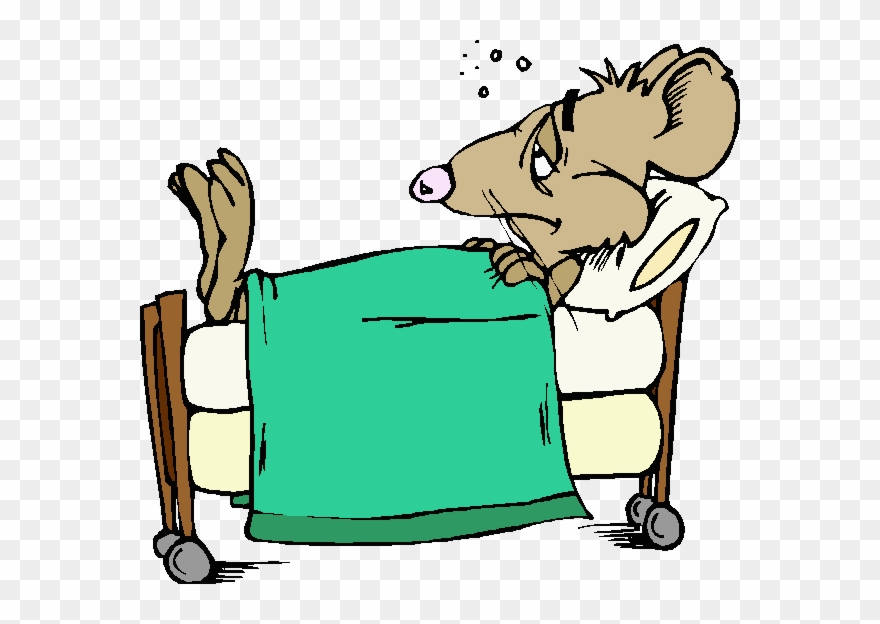 Sick Of Politics A Reality No-one Dares To Mention - Sick Rat Clipart