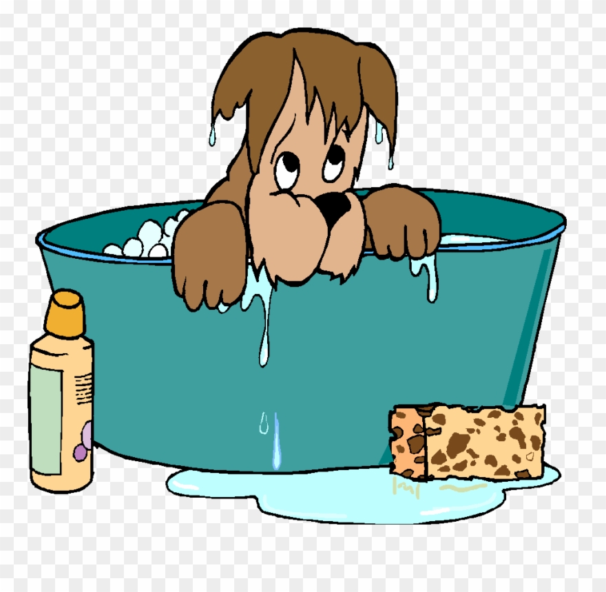 Dog Bath Clipart - Free Clip Art Dog Grooming - Png Download