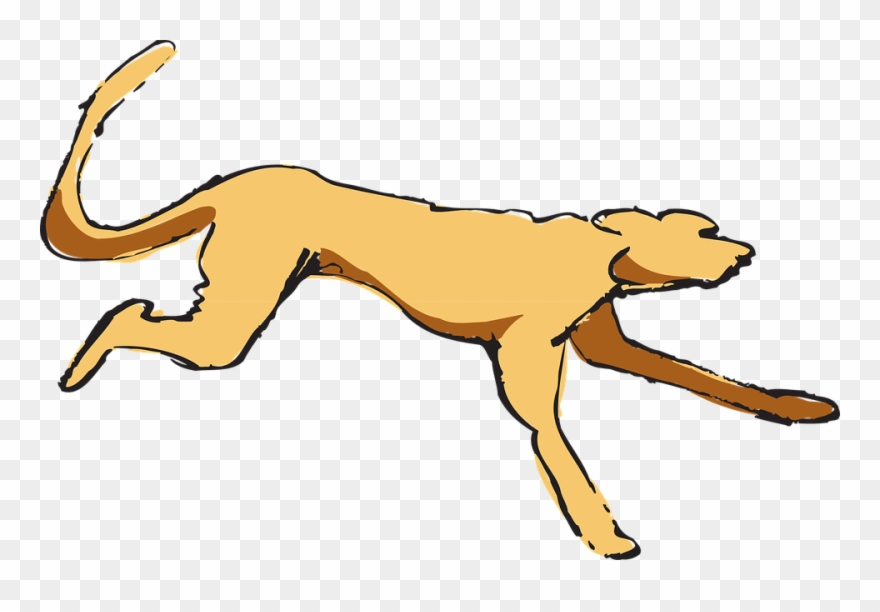 Cartoon Dog Running 4, Buy Clip Art - Dog Running Gif Clipart - Png Download