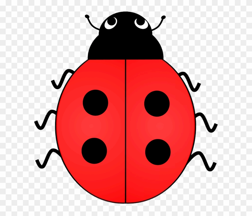 Lady Bird Clipart Clipart Collection U00ba Clipart - Ladybird With 4 Spots - Png Download