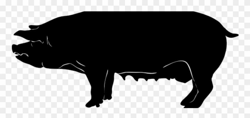 5 Barn Rules To Manage Body Condition In Sows - Pig Svg Clipart