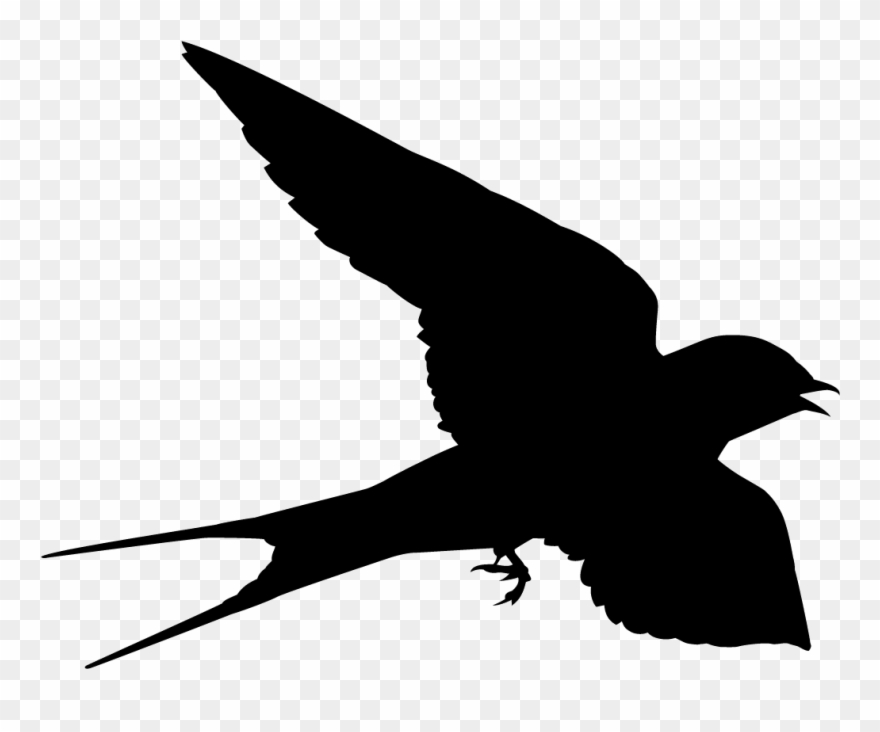 Swallow Clipart Silhouette - Swallow Shape - Png Download
