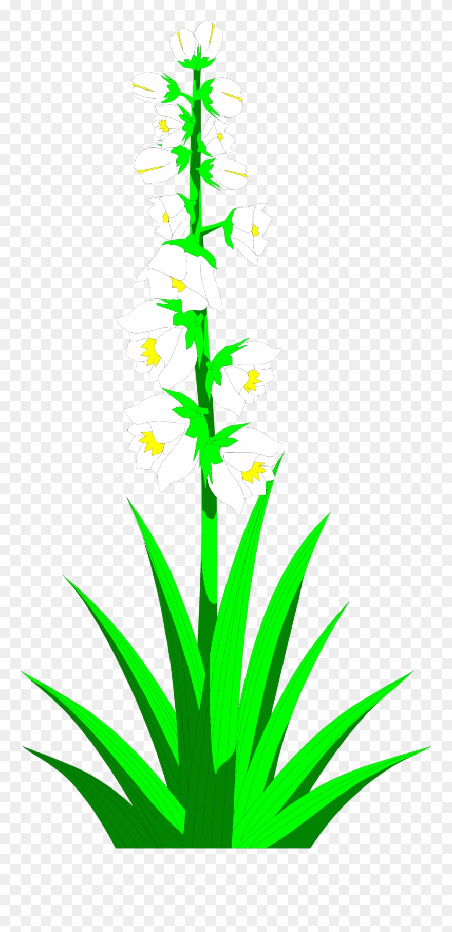 Plant Clipground Clip Art - Png Download