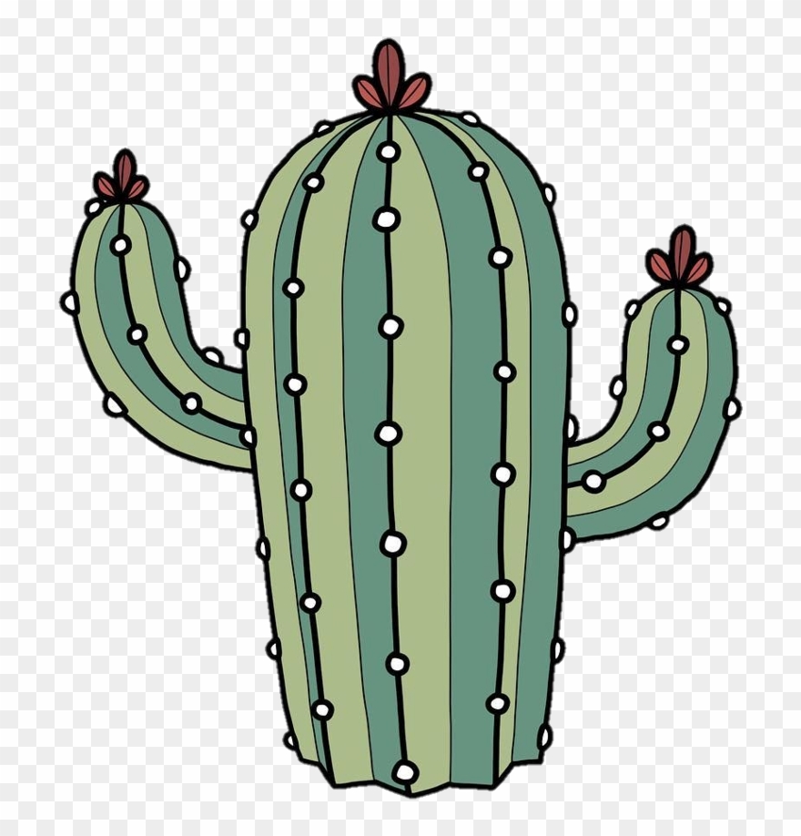Cactus Tumblr Beautiful Plant Green Flower - Sticker Digital Cactus Clipart