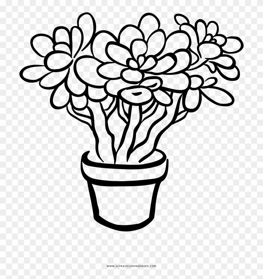 Succulent Houseplant Flower Coloring Page - Suculentas Png Desenho Clipart