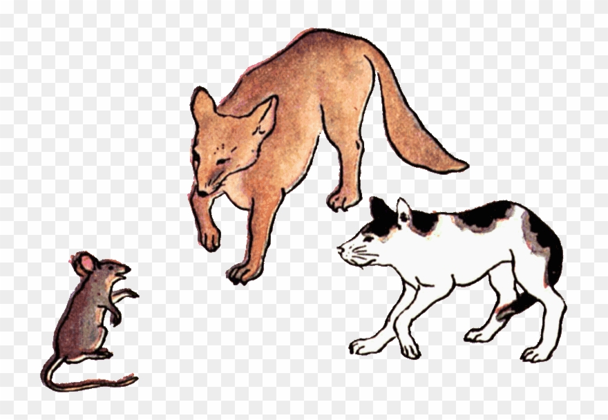 Rat Clipart Cat Rat - Dogs Cats And Rats - Png Download