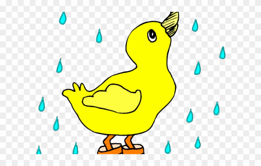 Rain Clipart Duck - Duck In A Puddle - Png Download