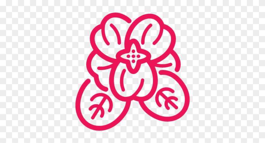 Our Programme - Gardening Clipart