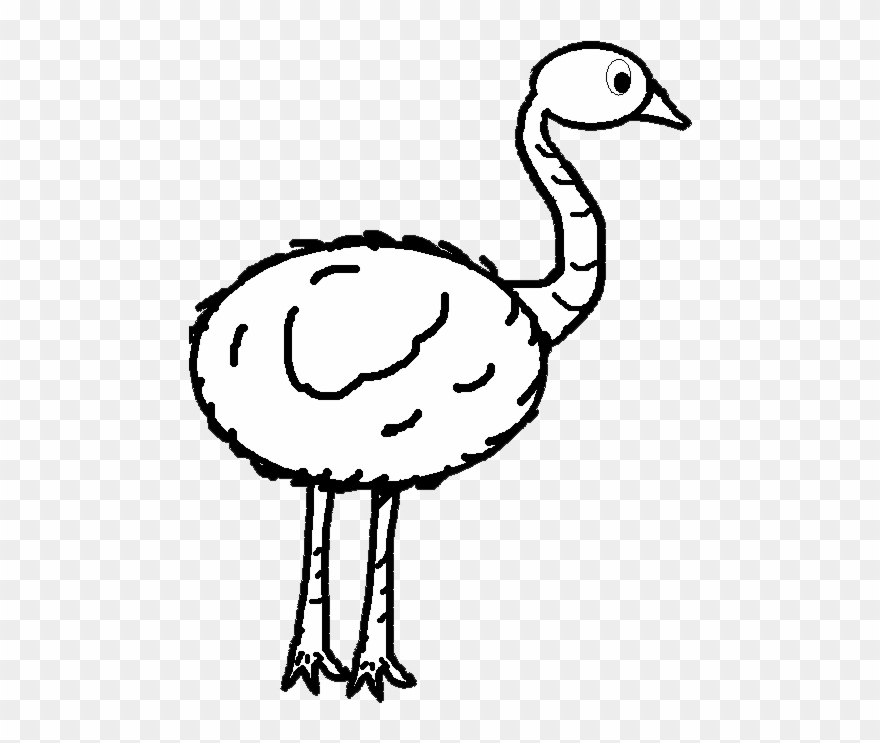Emu Clipart Black And White - Emu Clipart Outline - Png Download