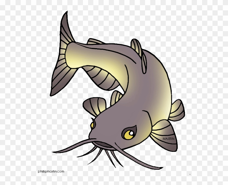 Channel Catfish Clip Art - Cartoon Picture Of Catfish - Png Download
