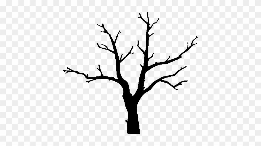 Daarklands By Admin Invite Only Comment 1 Flickr Autumn - Cherry Blossom Tree Outline Clipart