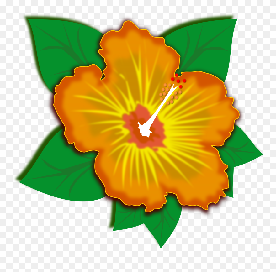 Cartoon Hawaiian Flower 24, Buy Clip Art - ภาพ ตัด ปะ ดอกไม้ - Png Download