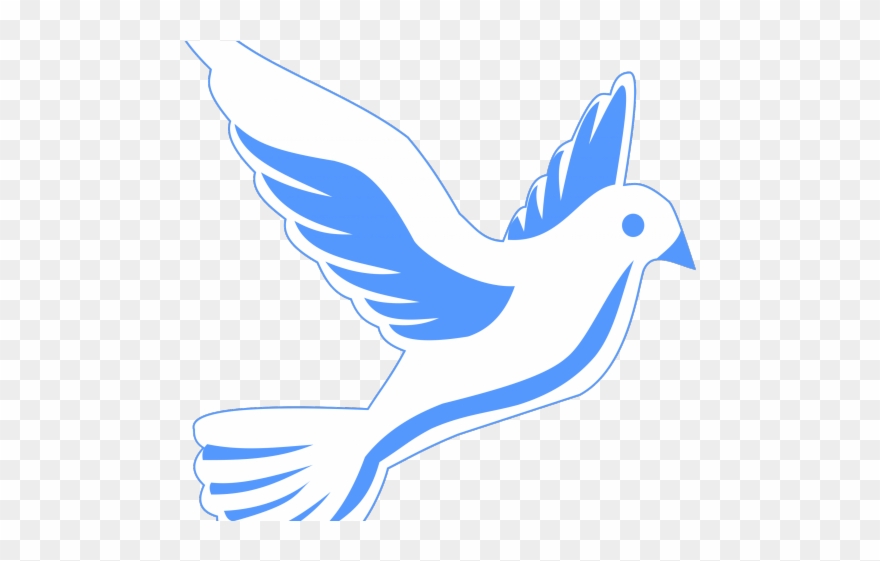 White Dove Clipart Fire Png - Illustration Transparent Png