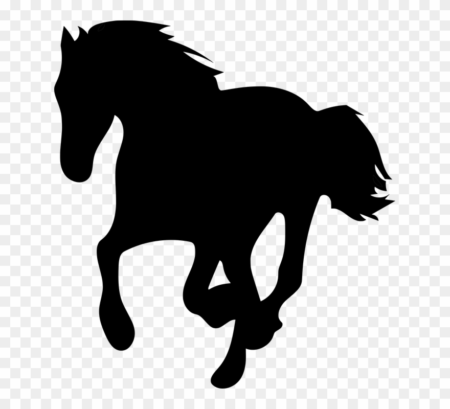 Horse Head Silhouette 4, Buy Clip Art - Running Galloping Horse Silhouettes - Png Download