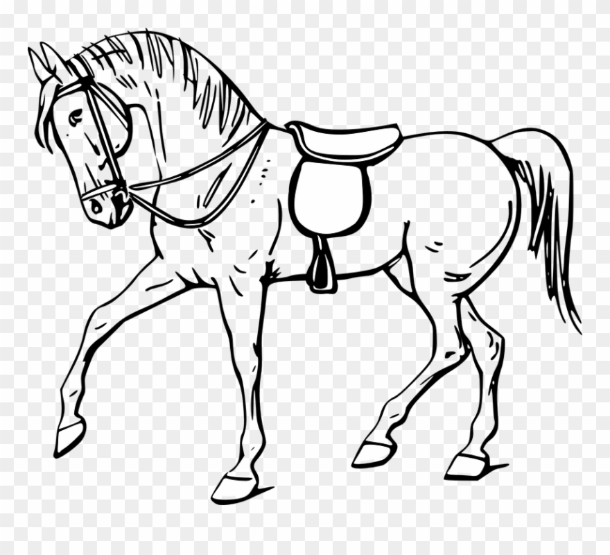 Horse Line Art 1, Buy Clip Art - Horse Clipart Black And White - Png Download