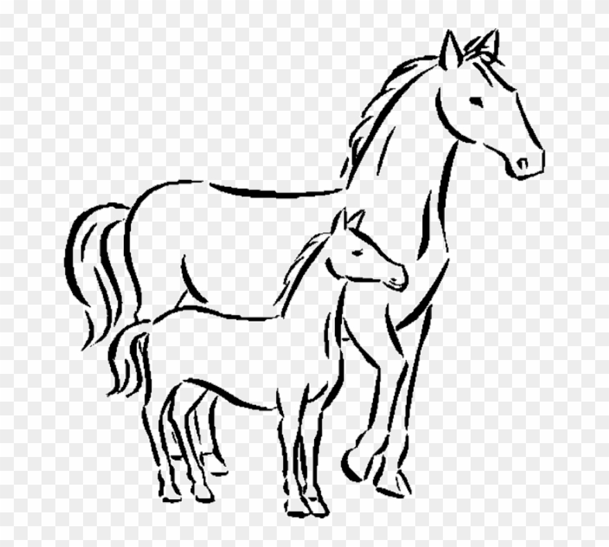 Horse - Draw A Small Horse Clipart