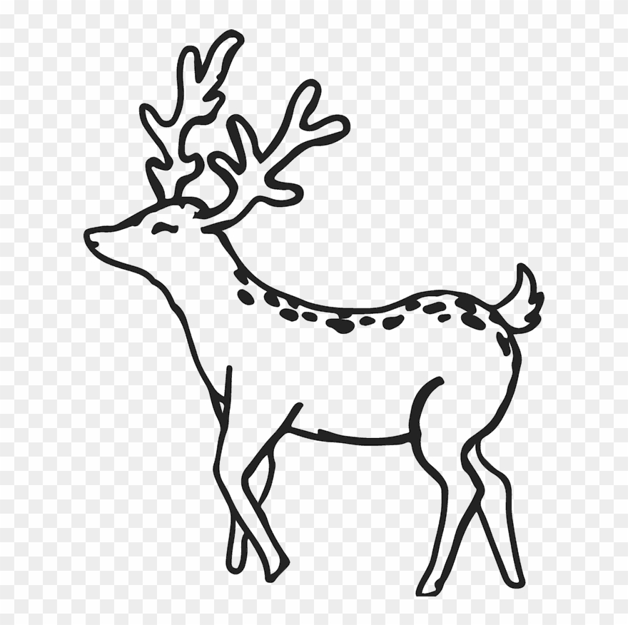 Buck Outline Buck Deer Rubber Stamp Outline Antler - Deer Clipart