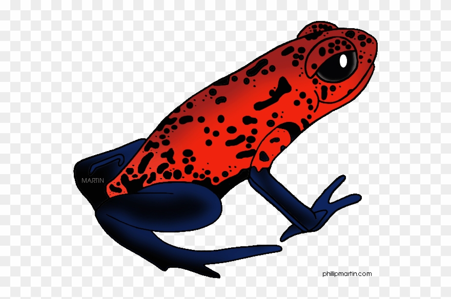 Rainforest Frogs Clipart - Cartoon Poisonous Dart Frog - Png Download