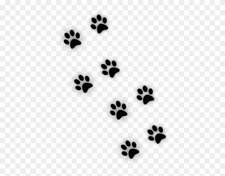 Picture Of Cat Paw Print 10, Buy Clip Art - Kedi Patisi - Png Download