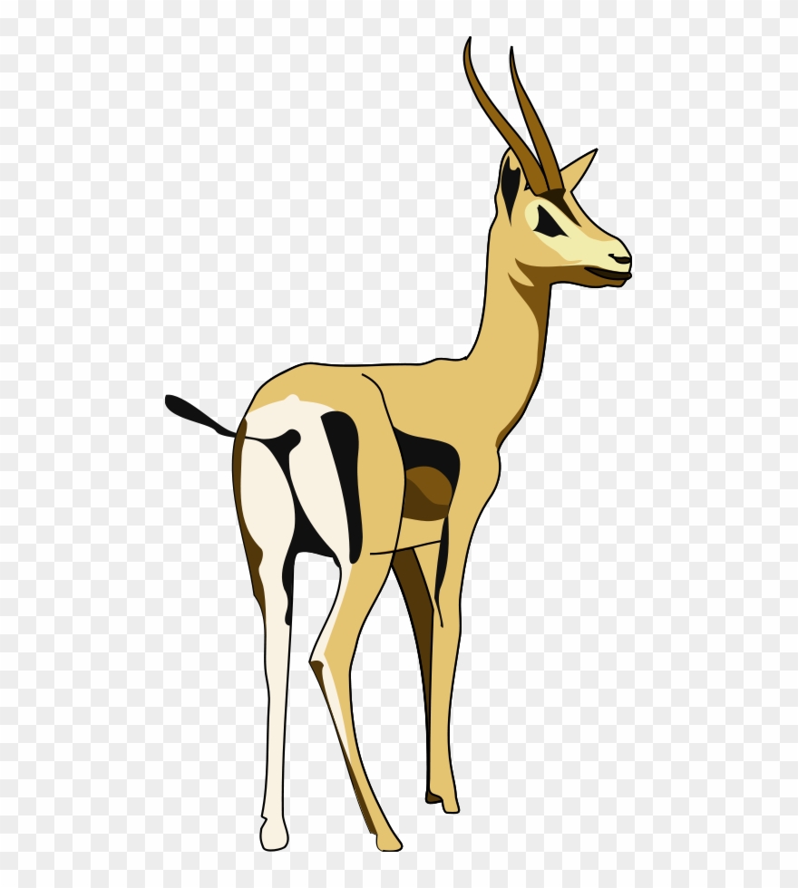 Vektorinė - Антилопа Пнг Clipart