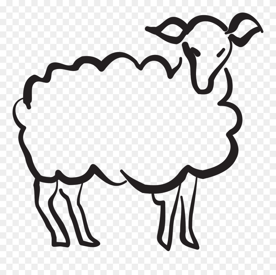 Drawing A Lamb Clipart (1225008) PinClipart
