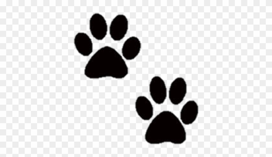 Check Ou - Little Dog Paws Clipart