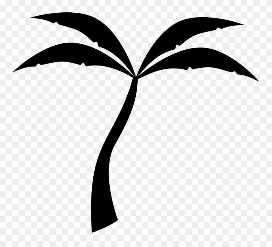 Palm Tree Vector Art Free 23, Buy Clip Art - Transparent Background Free Palm Tree Clipart - Png Download