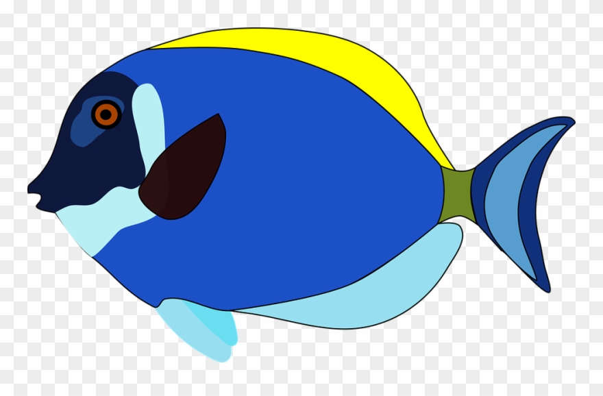 Cartoon Seahorse Pictures 9, Buy Clip Art - Dessin De Poisson En Couleur - Png Download