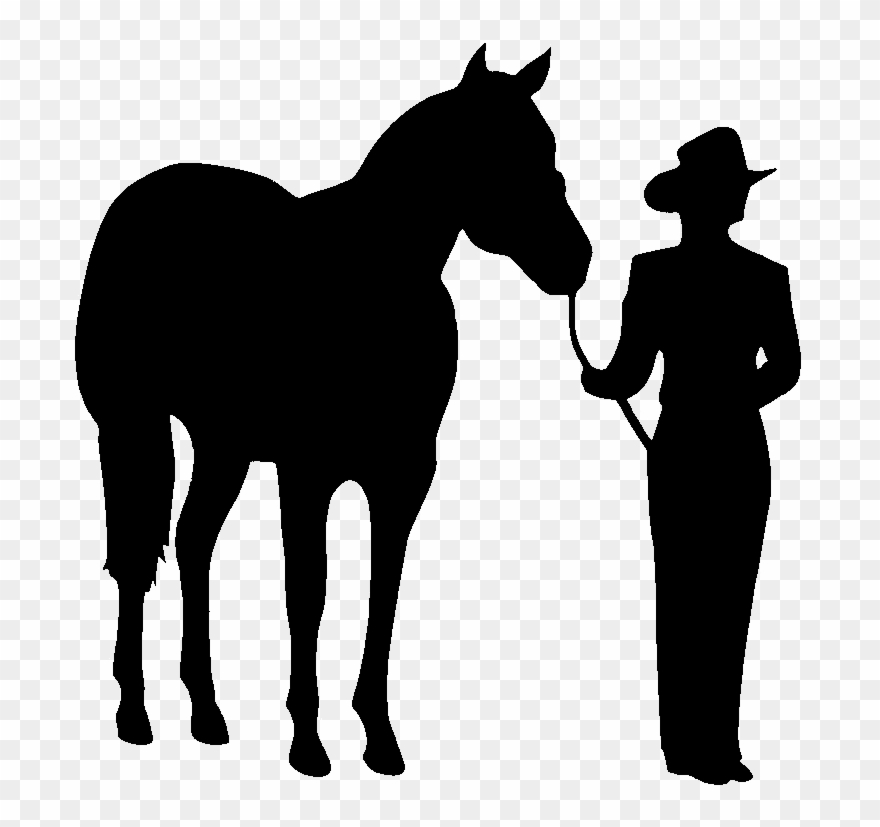Horse Showmanship Clipart - Png Download