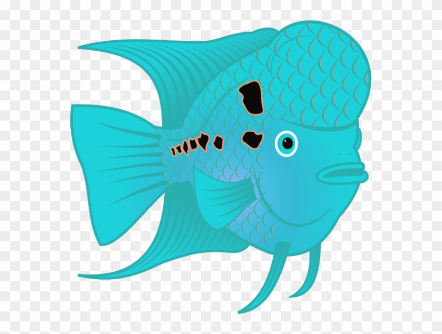 Flowerhorn Fish Flower Horn Fish Clip Art Png Download (1226406