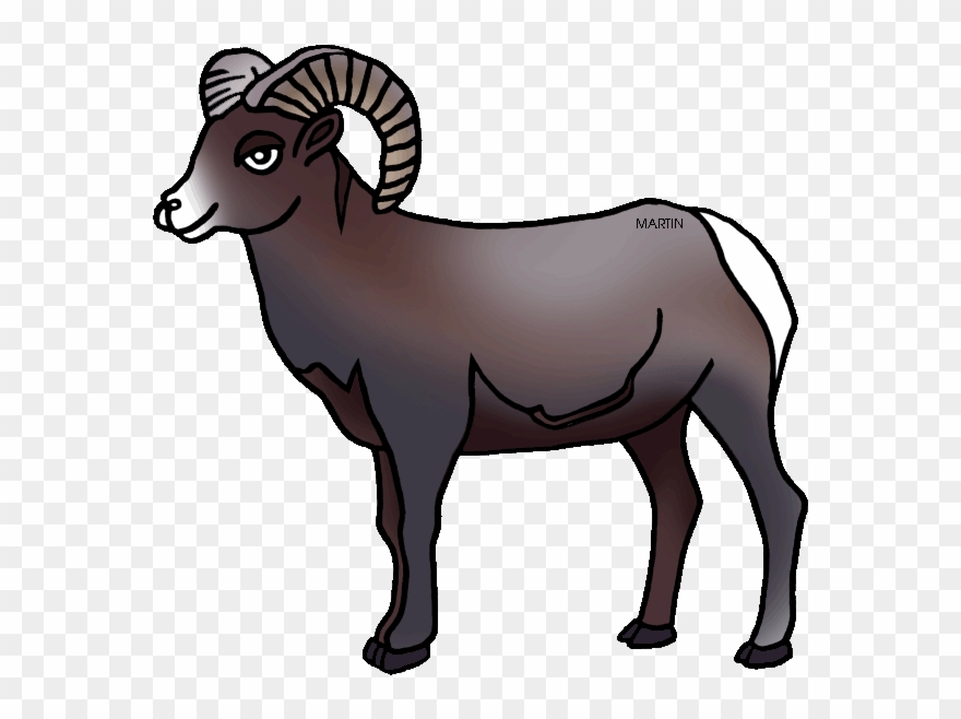 United States Clip Art By Phillip Martin, Colorado - Rocky Mountain Bighorn Sheep Cartoon - Png Download