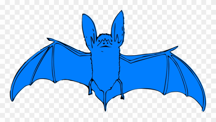 Halloween Bats Clipart 25, Buy Clip Art - Bat Clip Art - Png Download