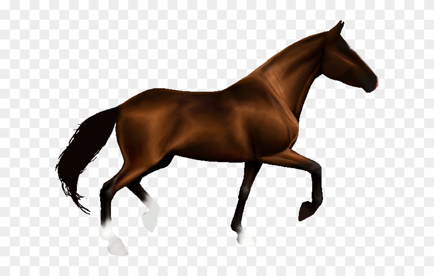 Animated] Horse By Lady-juniest On Deviantart - Animated Horse Gif Transparent Background Clipart