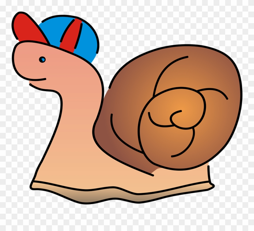 Snails Cliparts 19, Buy Clip Art - Spreadshirt Hat - Png Download