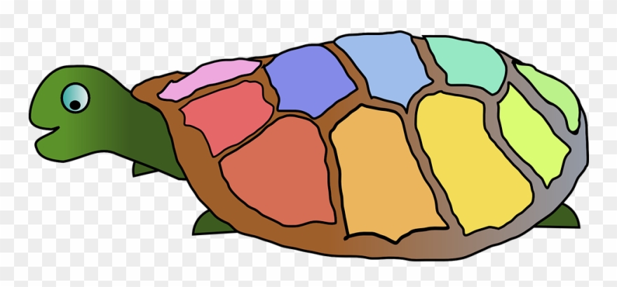 Gambar Warna Kura Kura Clipart
