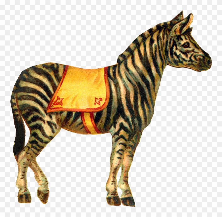 Zibi Vintage Scrap - Vintage Circus Animal Clipart - Png Download