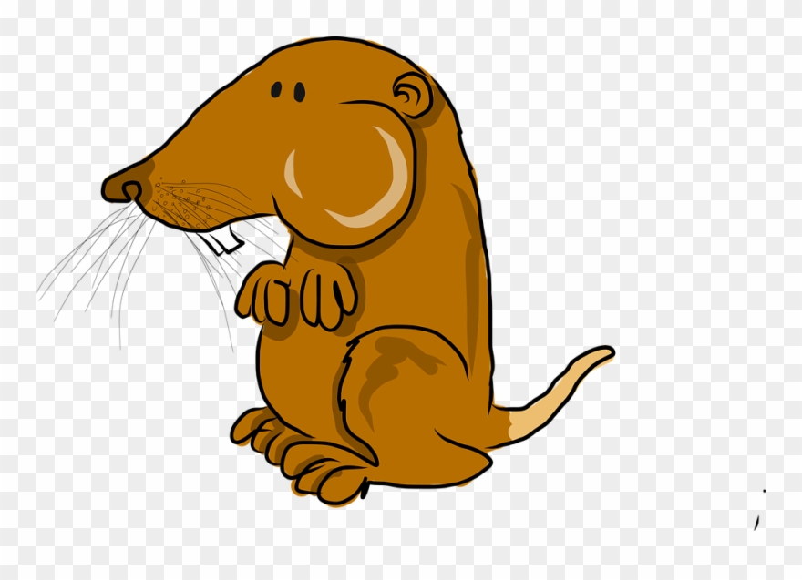 Cartoon Rattlesnake 18, Buy Clip Art - Pocket Gopher Cartoon - Png Download