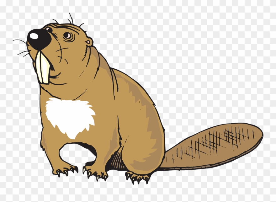 Custom Brown Beaver Sticker Clipart