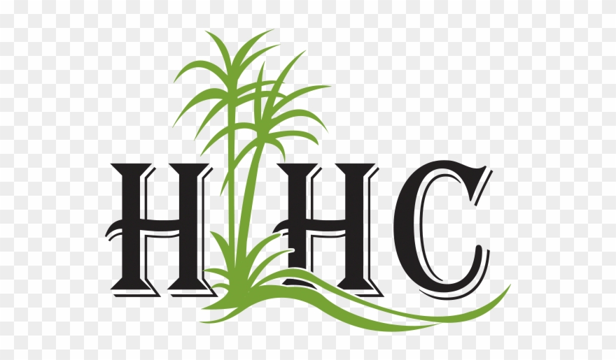 Horyal Investments - If [book] Clipart