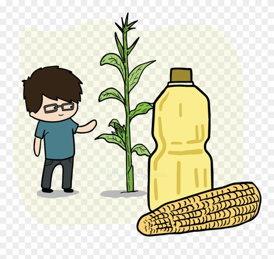 Juliet Station Cooking Oils Corn Oil - Food Clipart