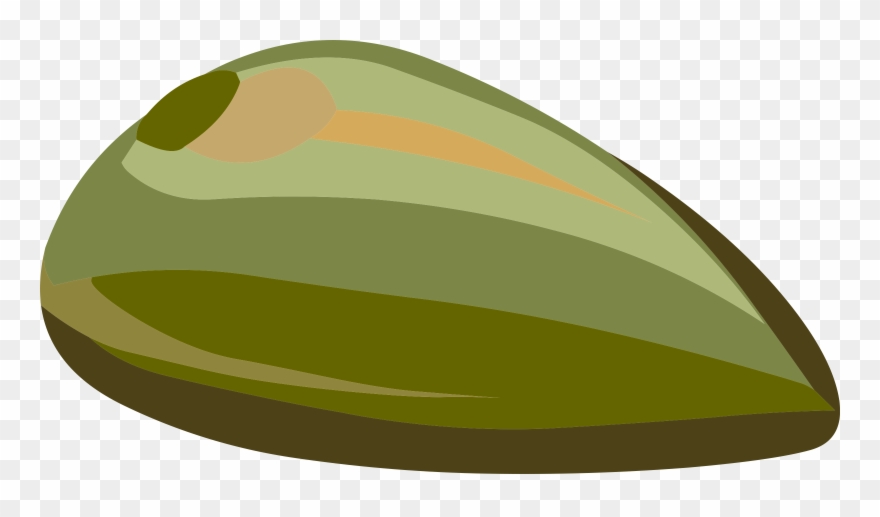 Clip Art Images - Seed Png Transparent Png