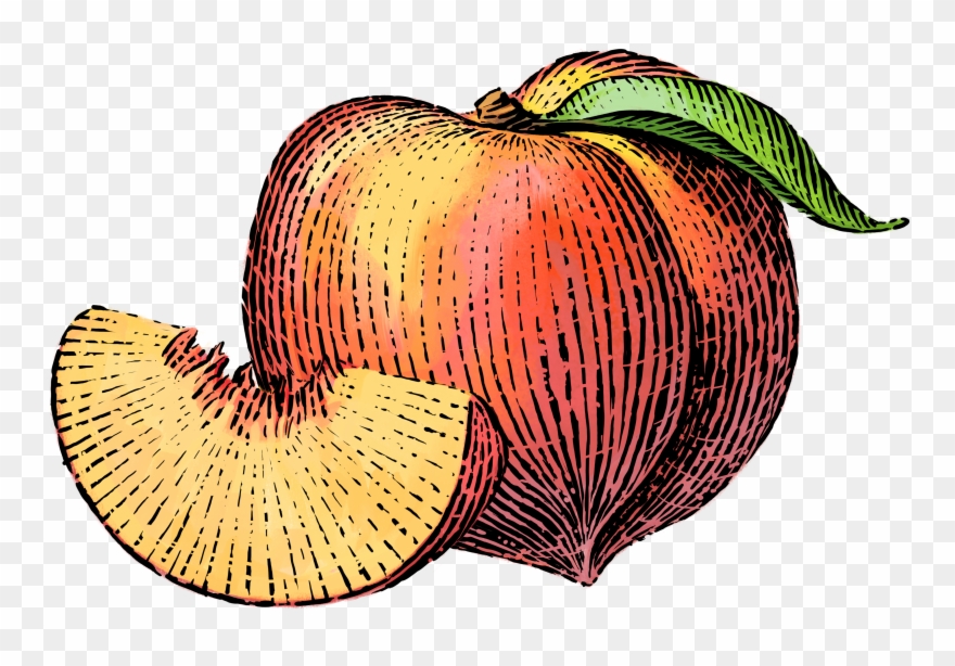 Dairy Clipart Yogurt Container - Png Download