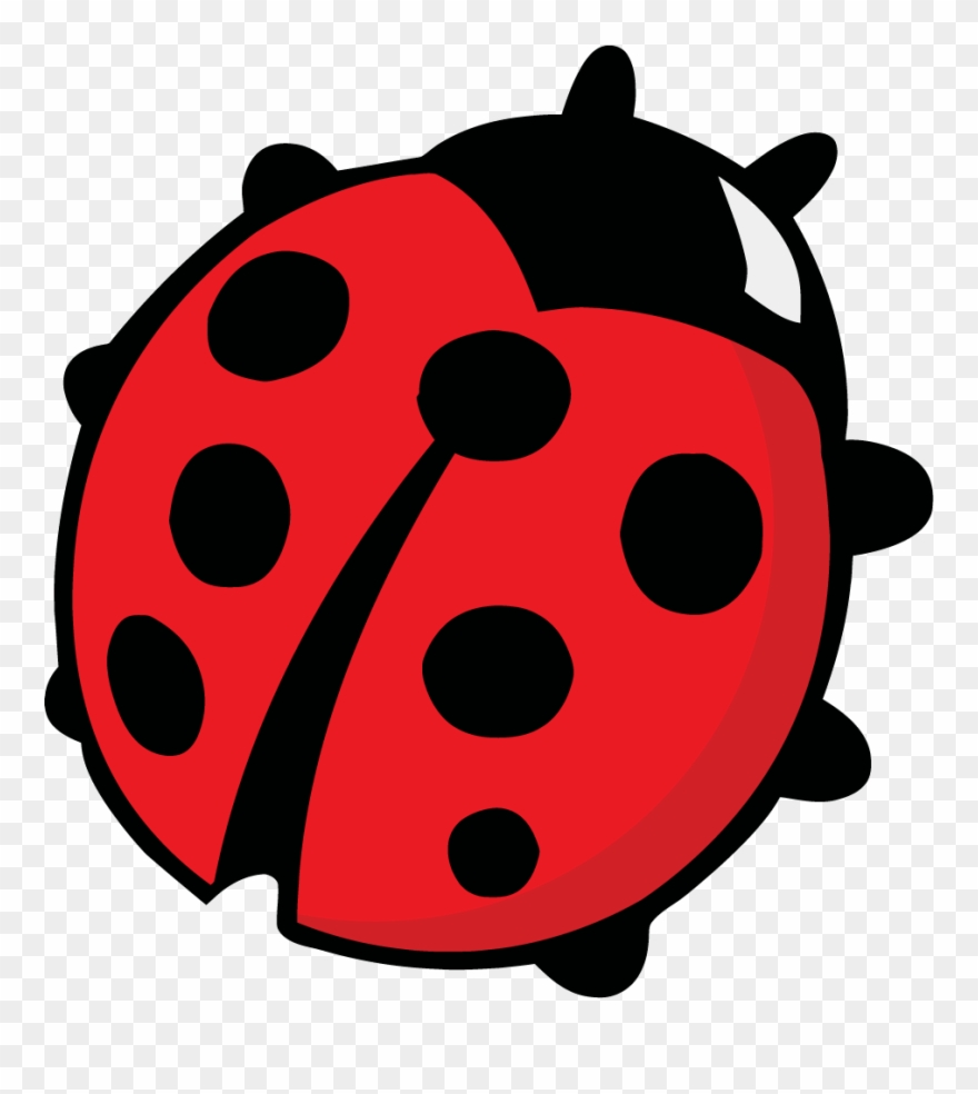Alphabets Clipart Ladybug - Colouring Images Of Ladybird - Png Download