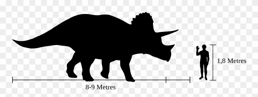 Show Pig Silhouette 9, Buy Clip Art - Triceratops Human - Png Download