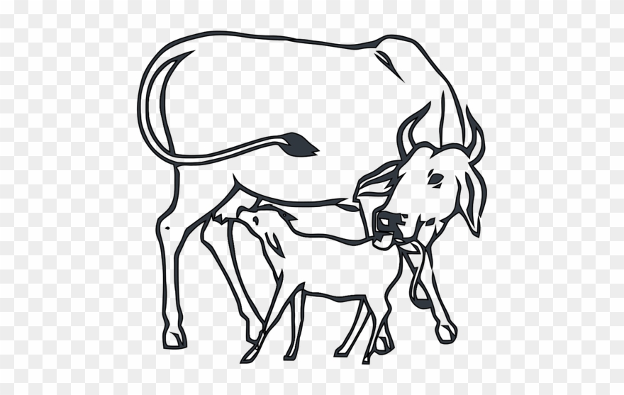 After 1971 Elections, Congress Lost Relevance And Later - Cow With Calf Drawing Clipart