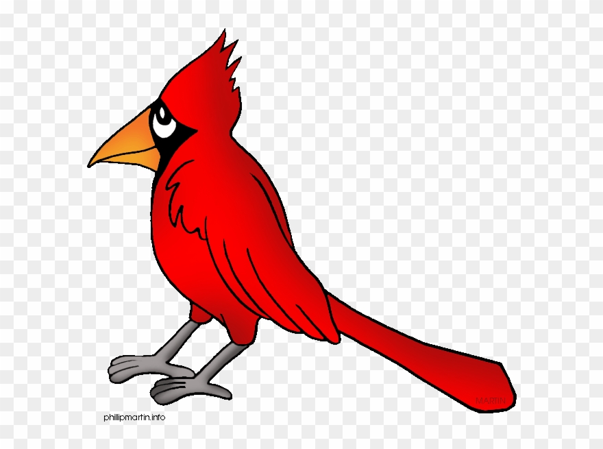 Cardinal Feathers Clipart - Cardinal Clip Art - Png Download