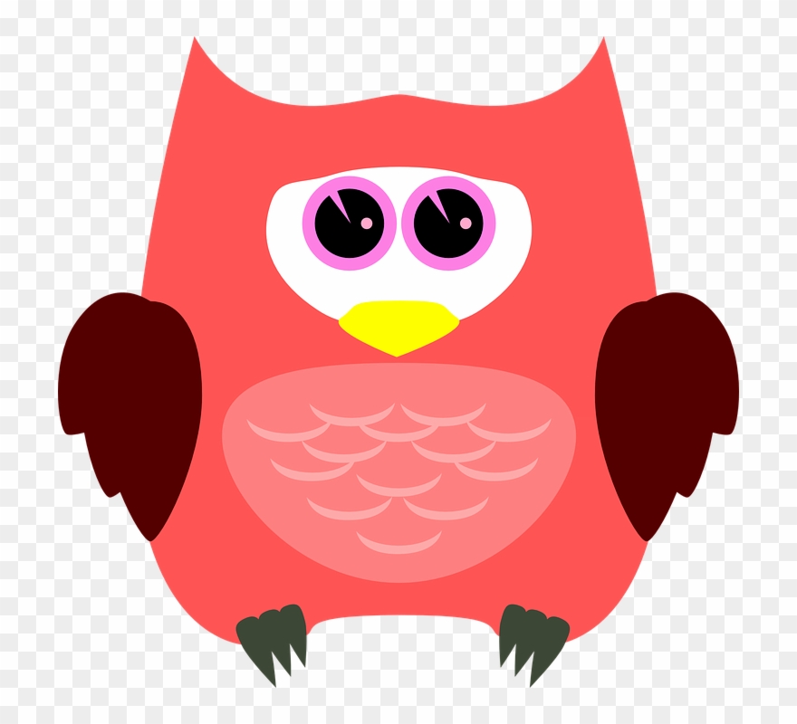 Cute Bird Clipart 9, Buy Clip Art - Bright Red Owl Oval Ornament - Png Download