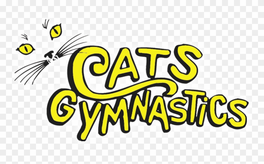 Helping To Build Your Child's Future - Cats Gymnastics-wellington Clipart