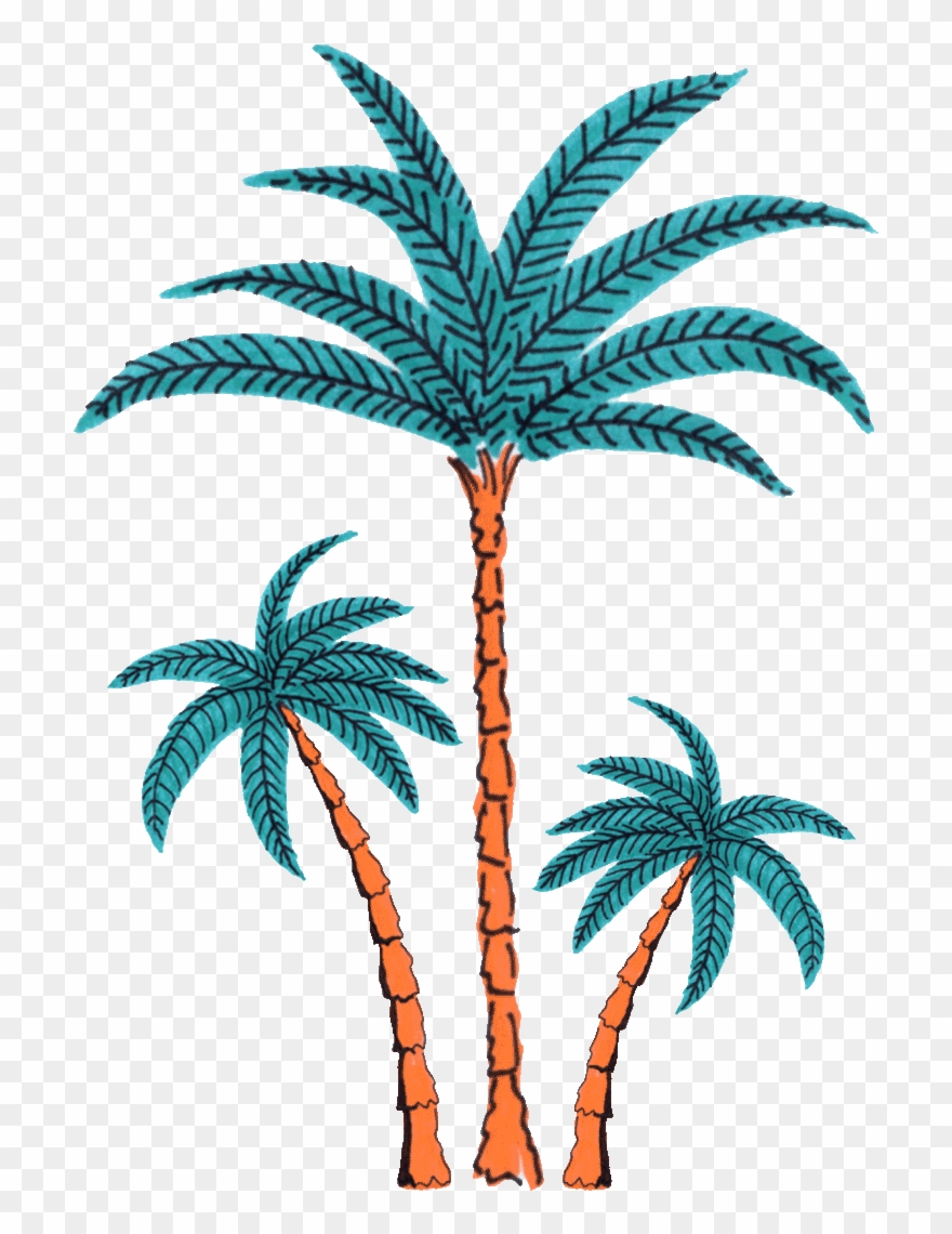 Palm Tree Dancing Sticker By Splash House - Dancing Coconut Tree Gif Clipart